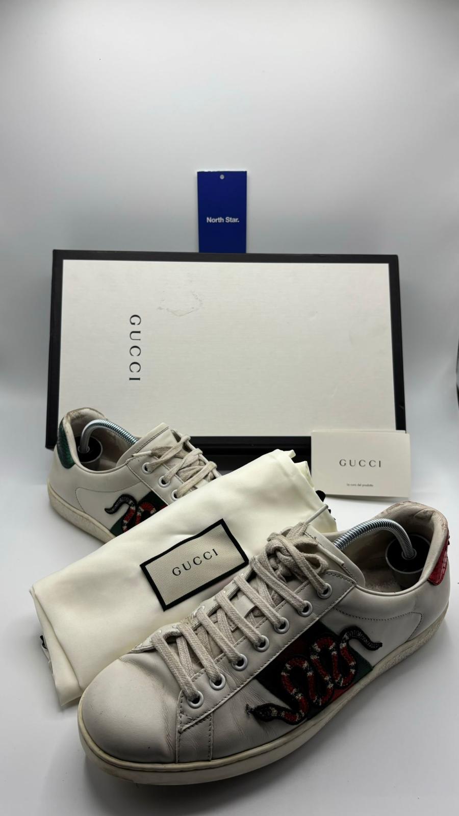 Gucci Ace Snake - 42 EU
