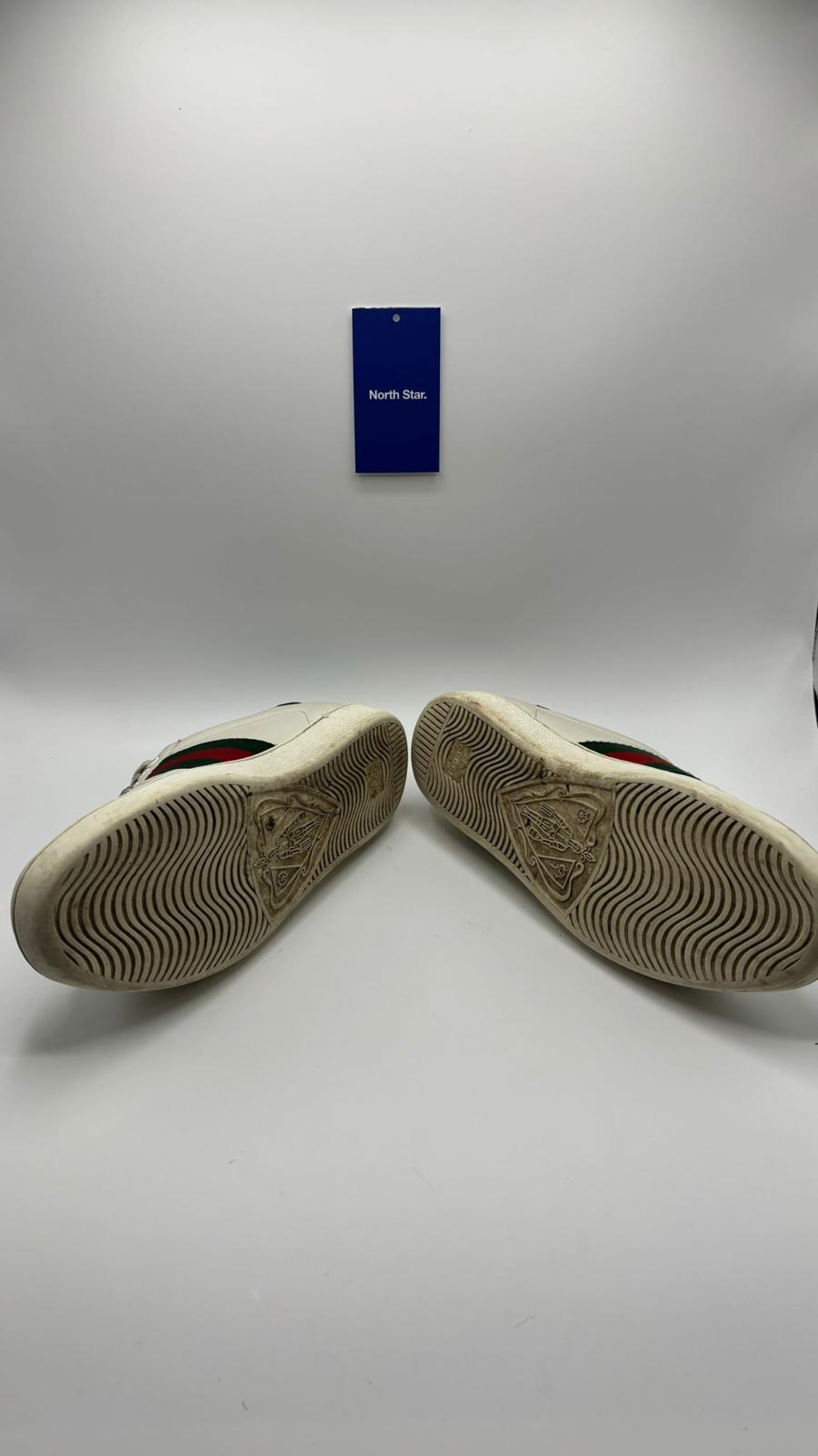 Gucci Ace Snake - 42 EU