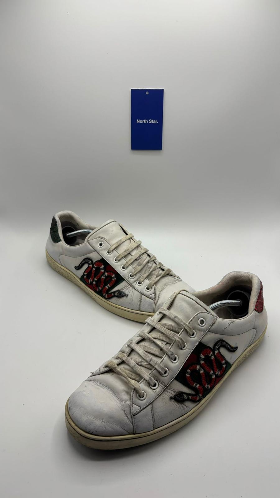 Gucci ACE Snake - 44.5 EU
