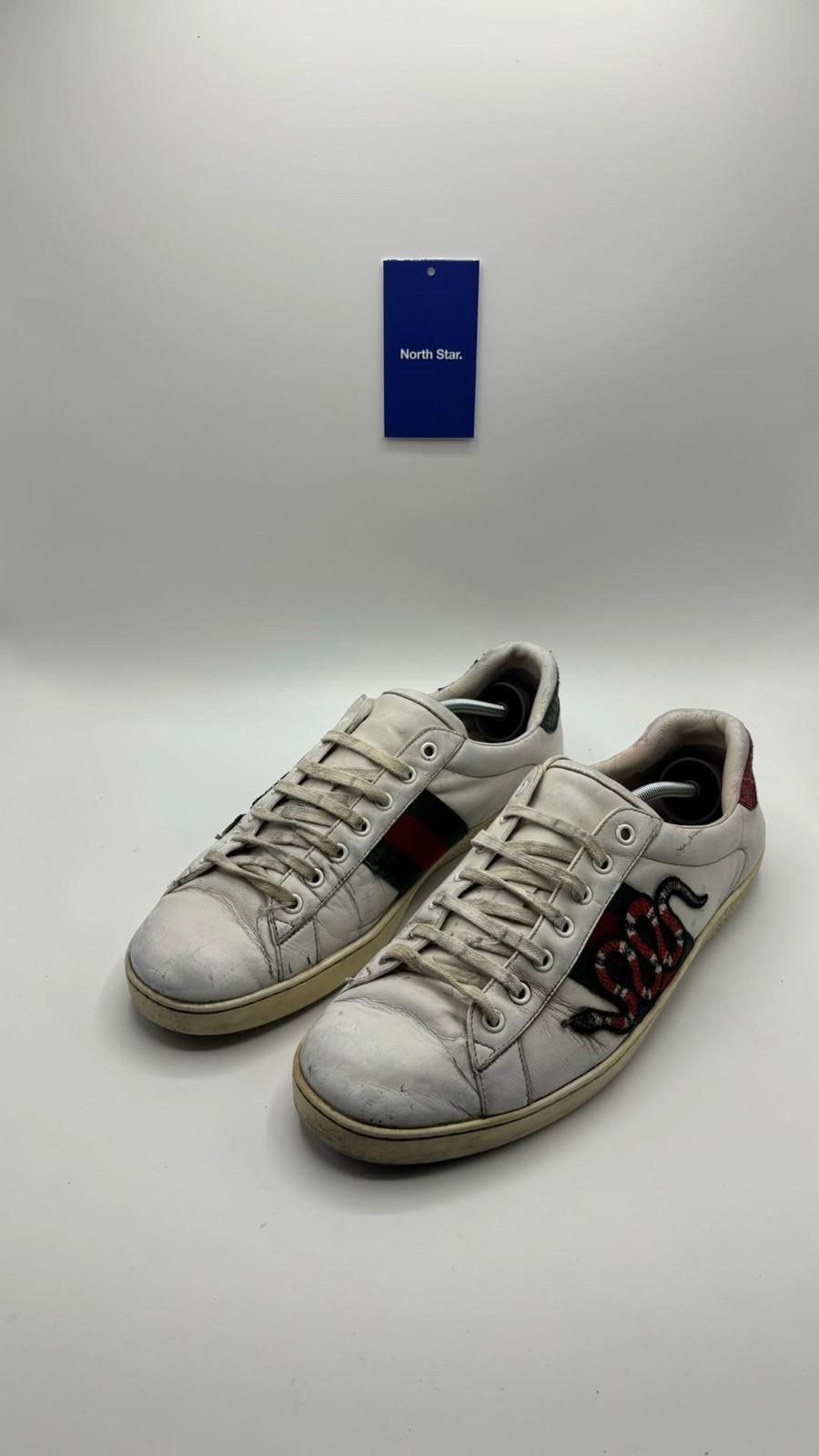 Gucci ACE Snake - 44.5 EU