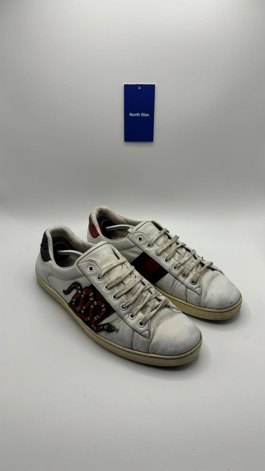 Gucci ACE Snake - 44.5 EU