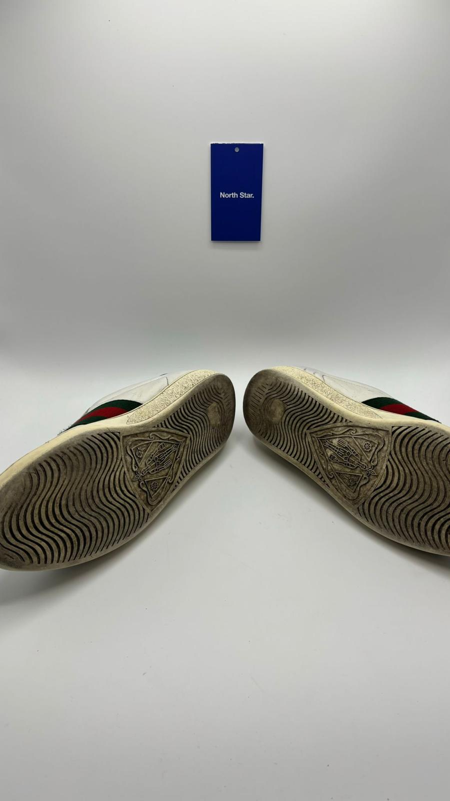 Gucci ACE Snake - 44.5 EU