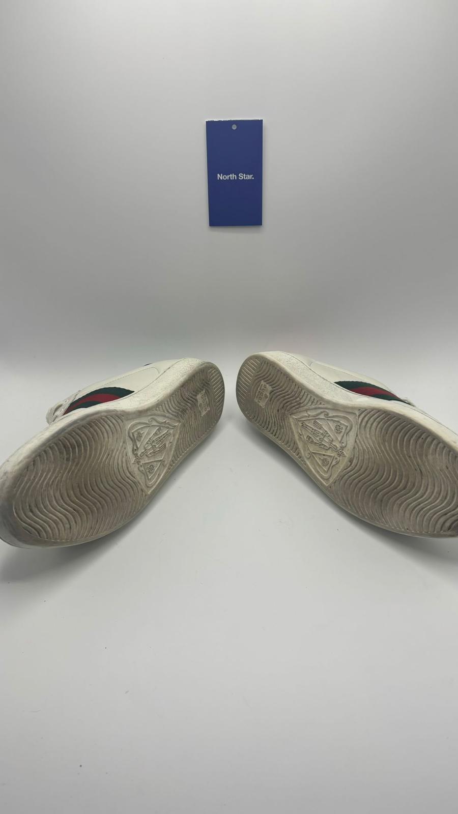 Gucci Ace Snake - 42 EU