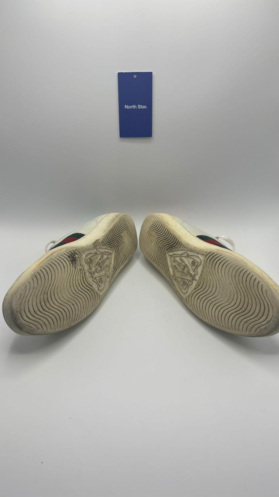 Gucci Ace Bee - 43 EU
