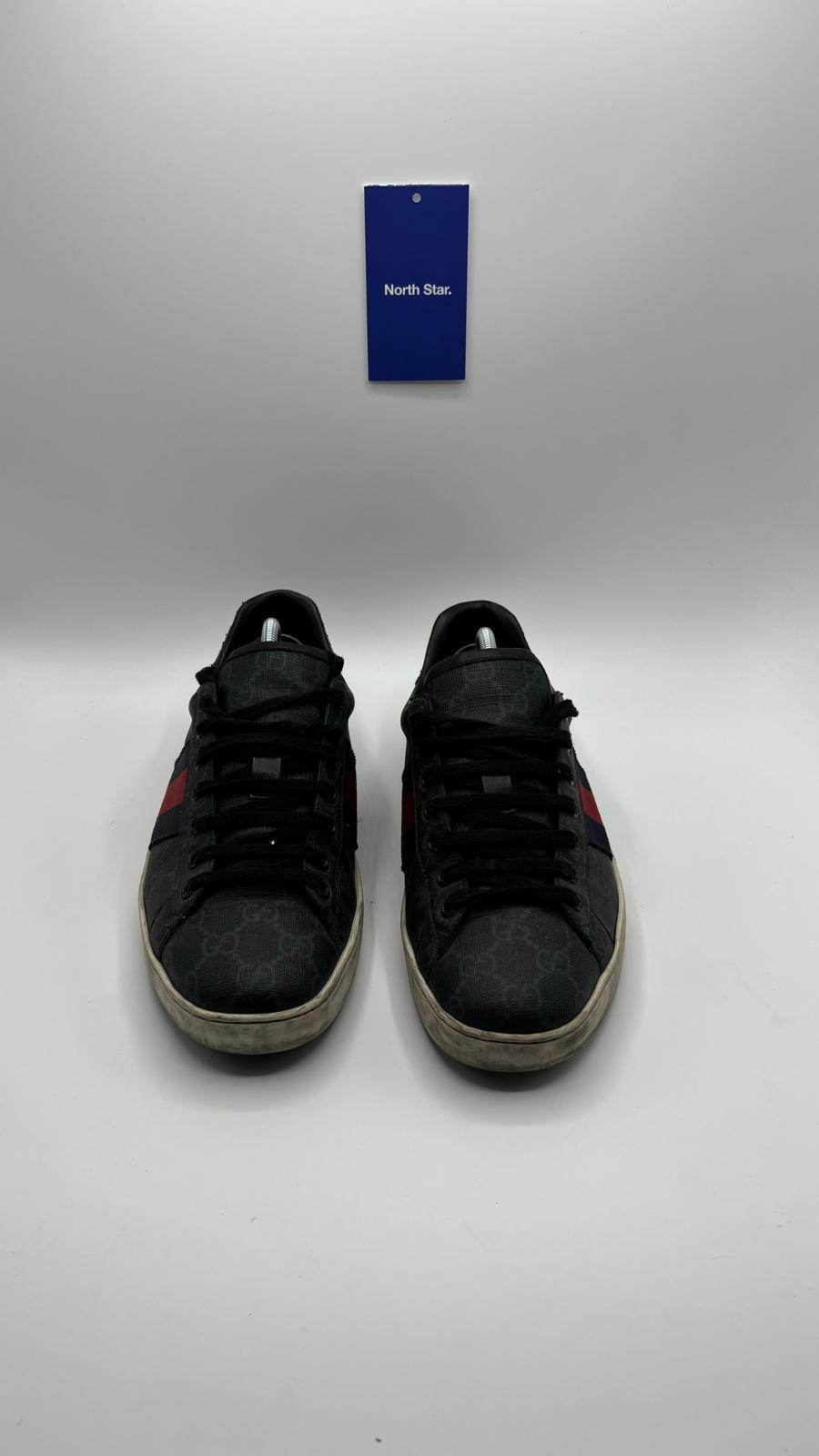 Gucci Ace - 41.5 EU