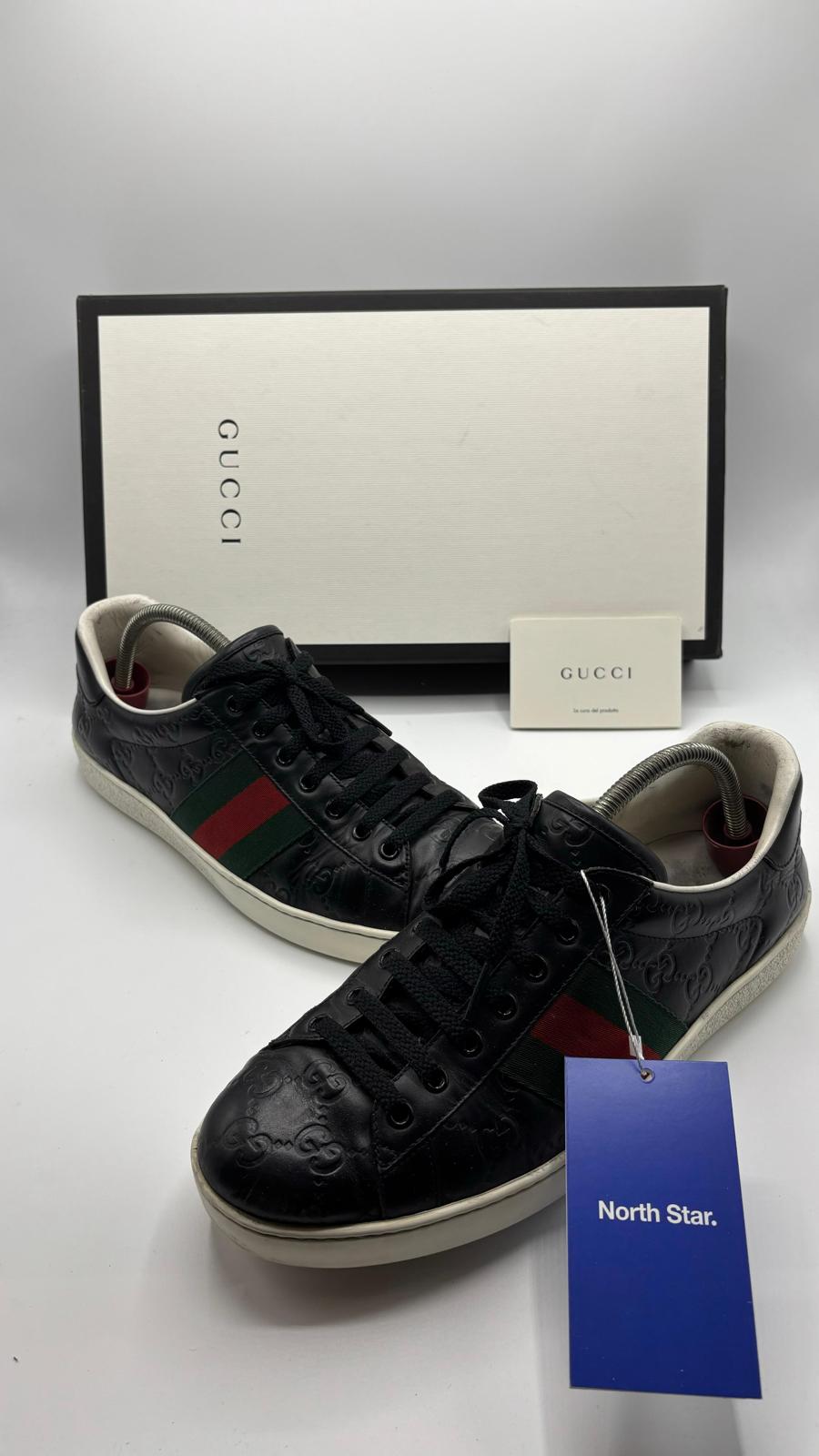 Gucci Ace - 42 EU