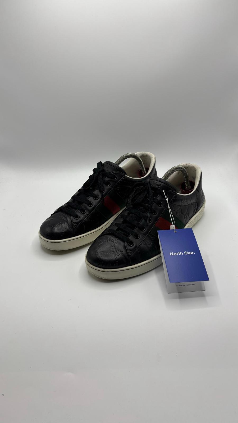 Gucci Ace - 42 EU