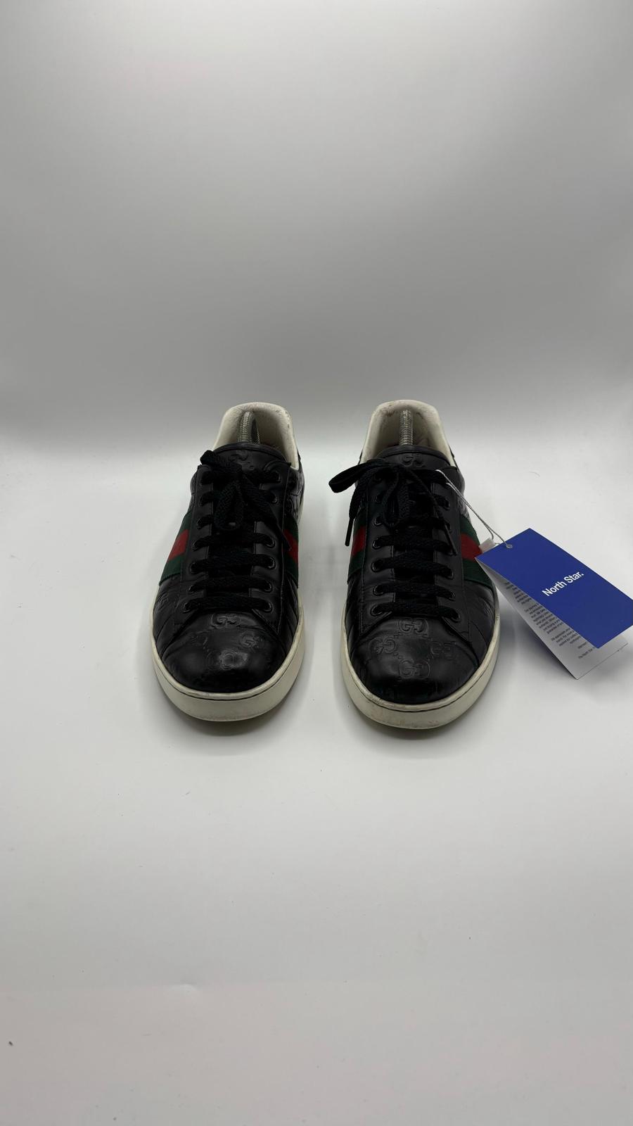 Gucci Ace - 42 EU