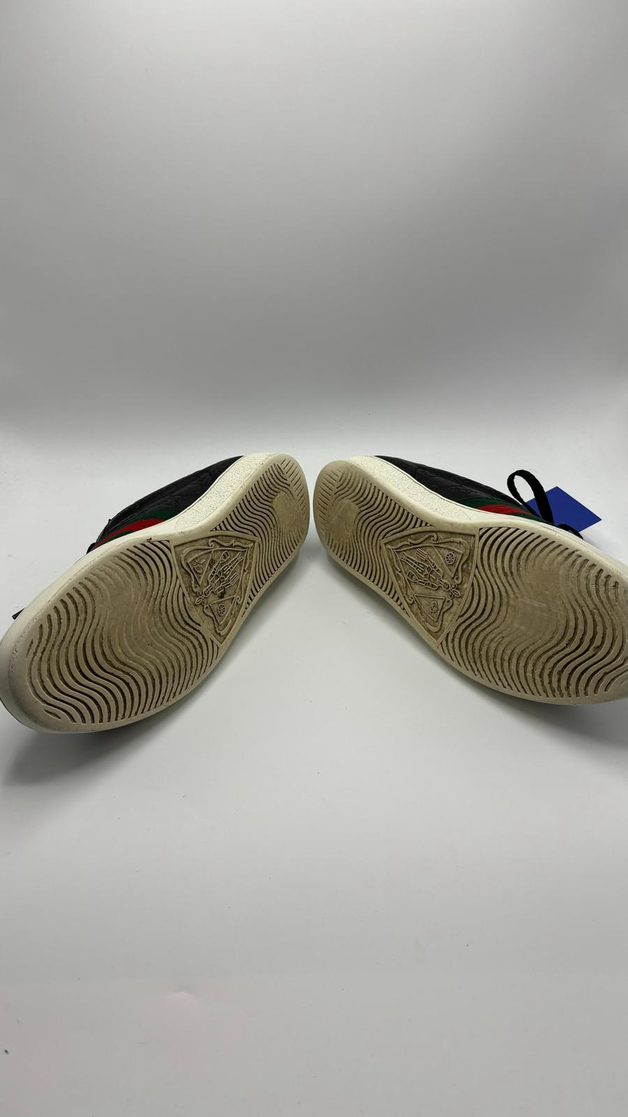 Gucci Ace - 42 EU
