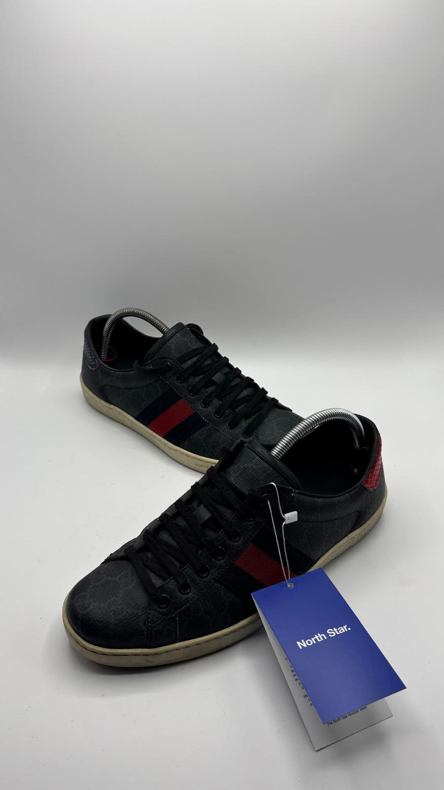 Gucci Ace - 42 EU