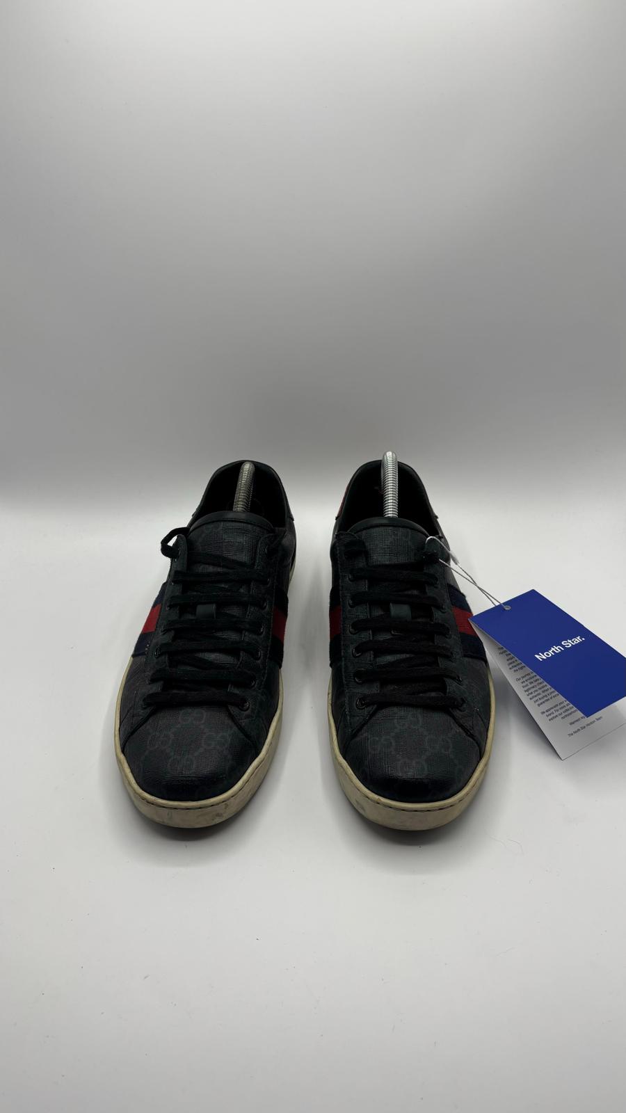 Gucci Ace - 42 EU