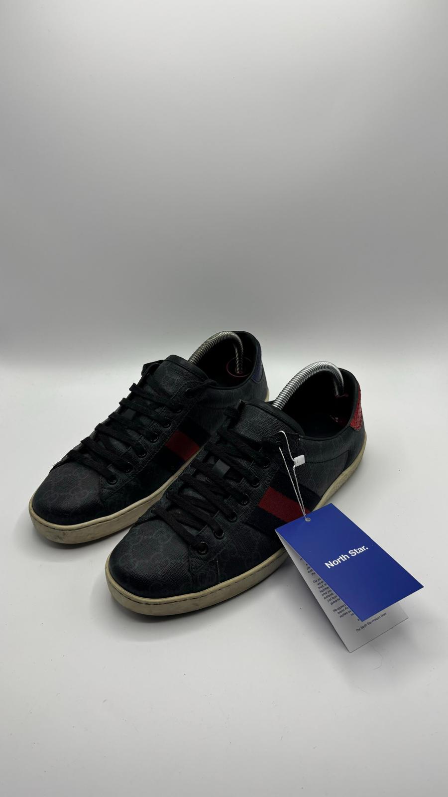 Gucci Ace - 42 EU