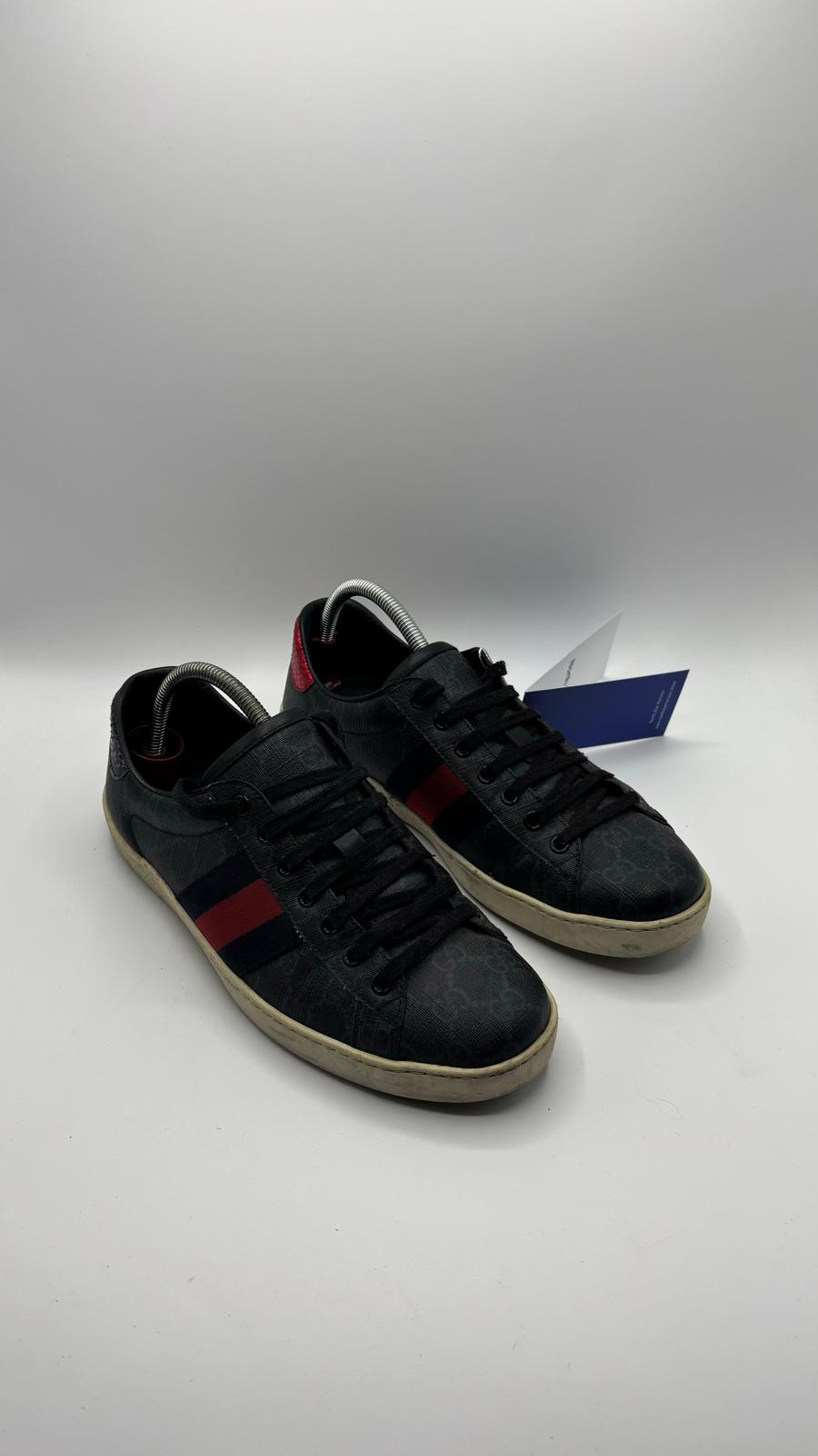 Gucci Ace - 42 EU