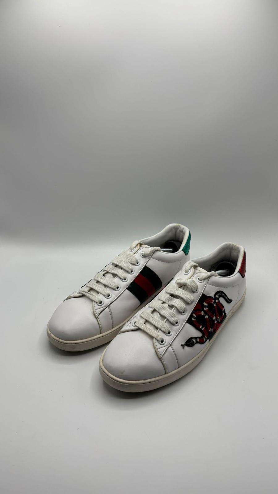 Gucci Ace Snake - 42 EU