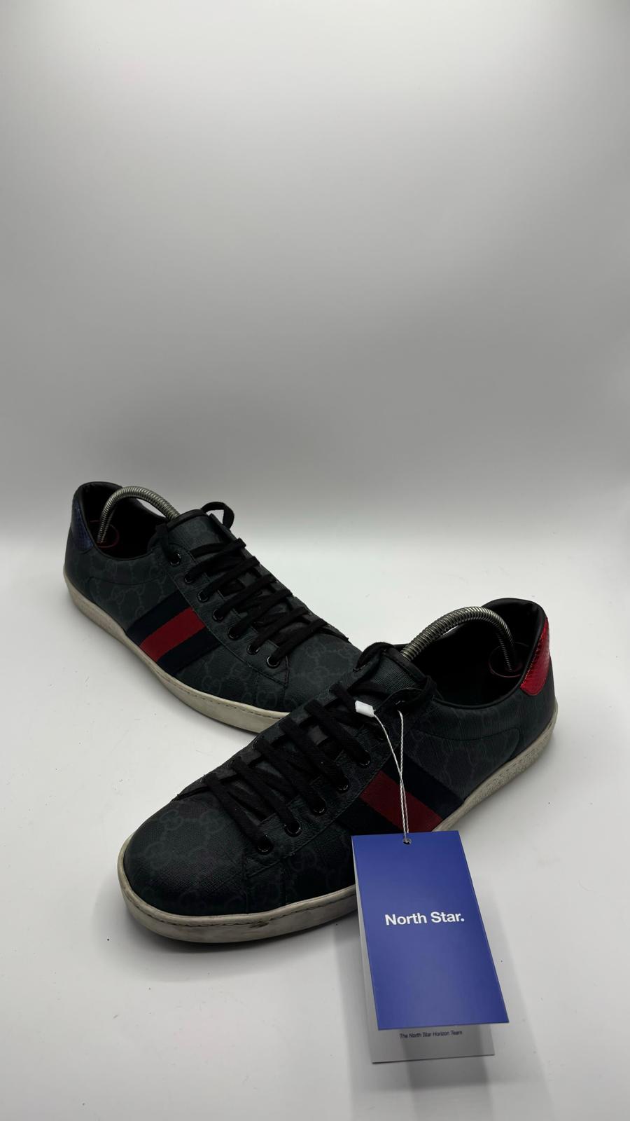 Gucci Ace - 42 EU