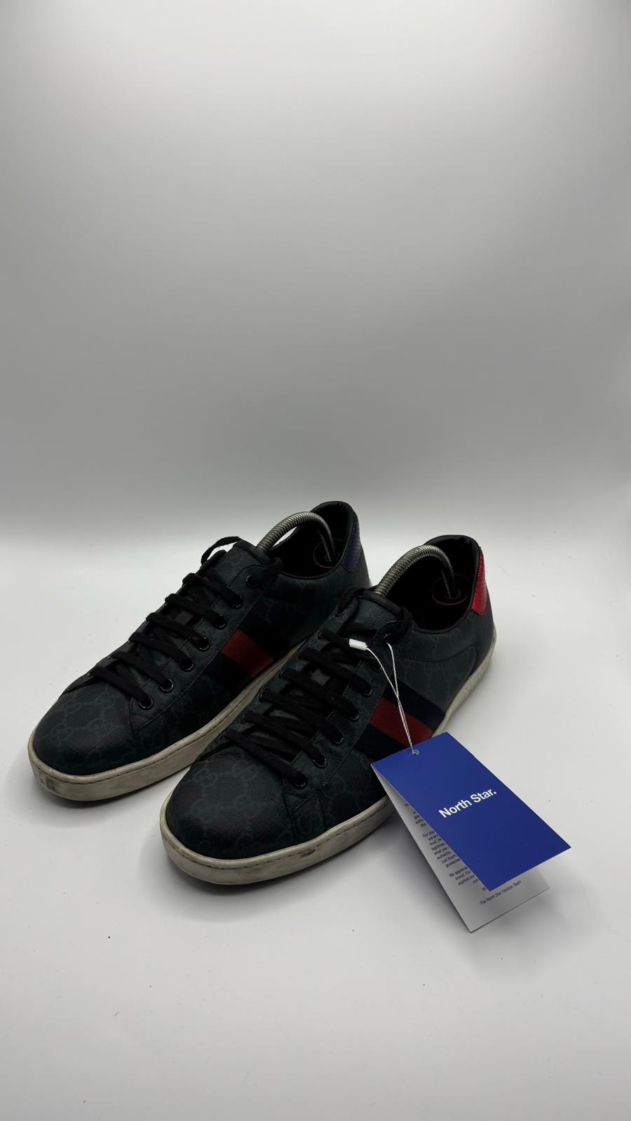 Gucci Ace - 42 EU