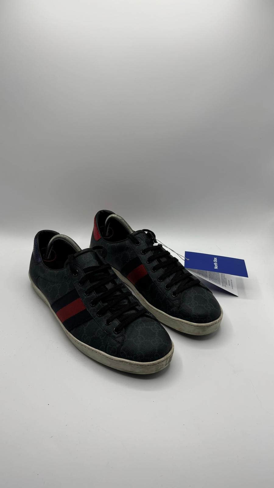 Gucci Ace - 42 EU