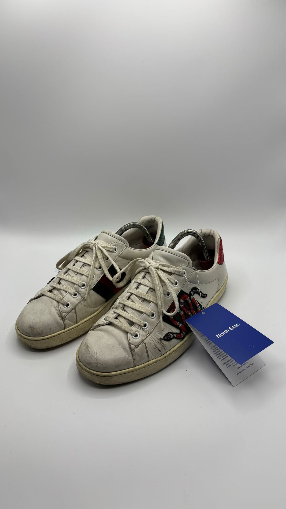 Gucci Ace Snake - 43 EU