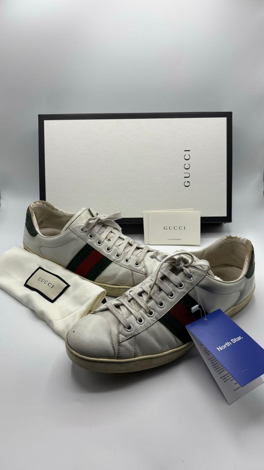 Gucci Ace - 44 EU