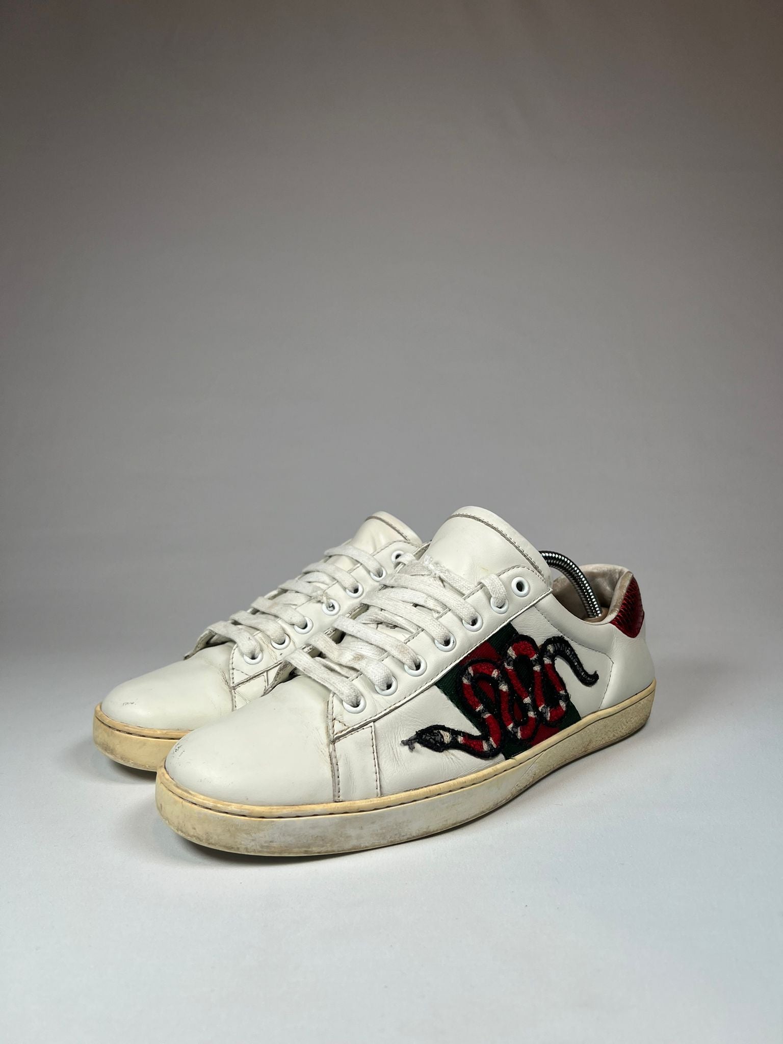 Gucci Ace Snake