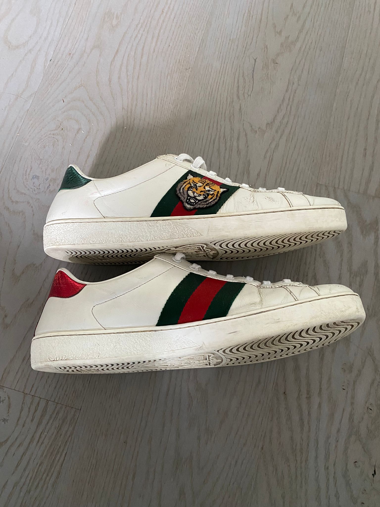 Gucci Ace Tiger