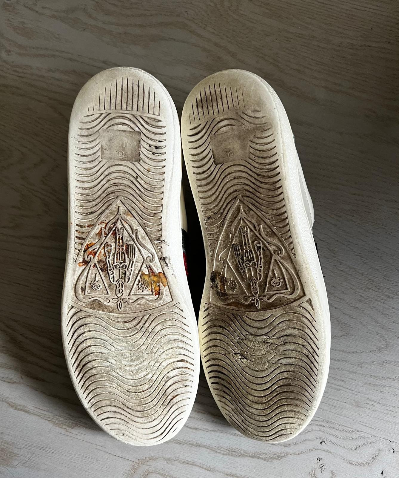Gucci Ace Tiger