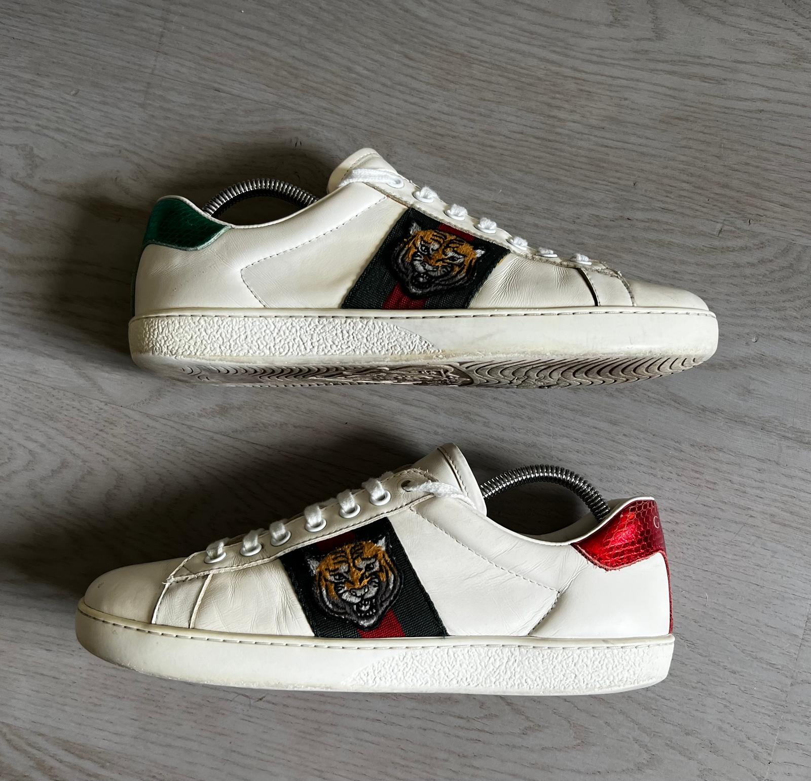 Gucci Ace Tiger