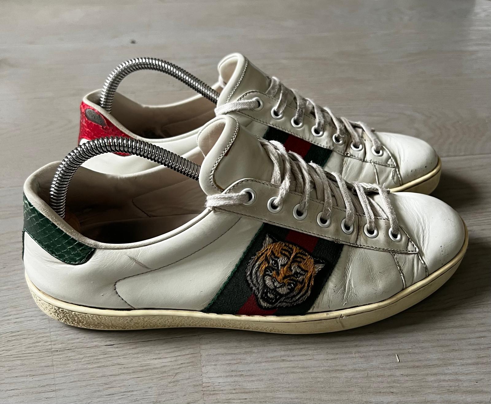 Gucci Ace Tiger