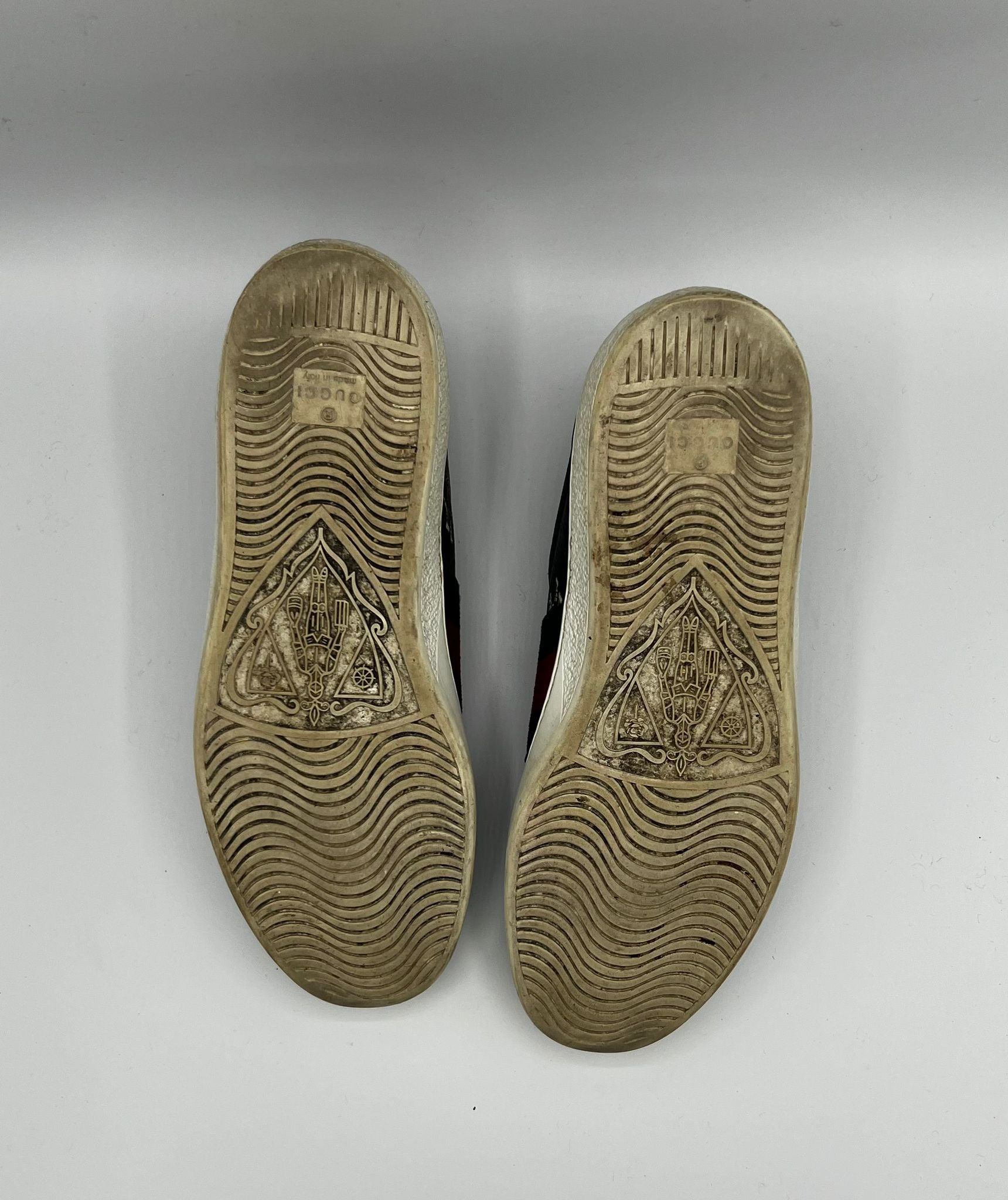 Gucci Ace Tiger