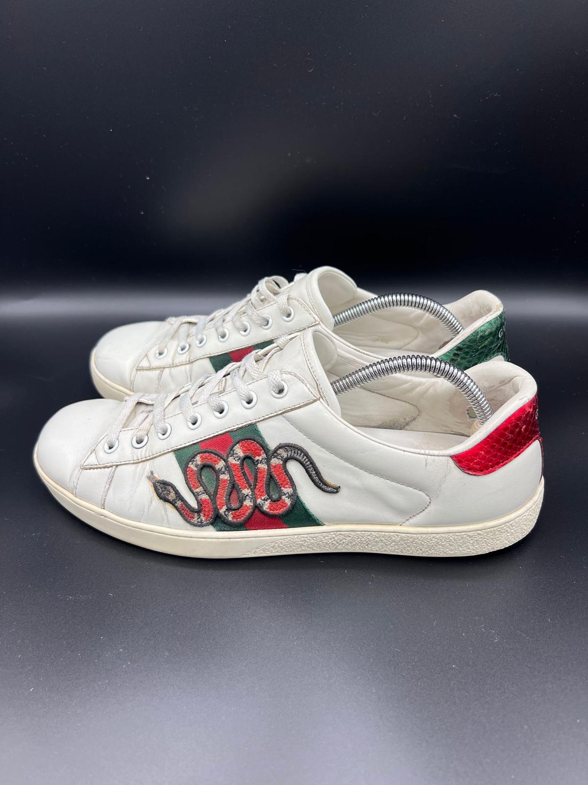 Gucci Ace Snake