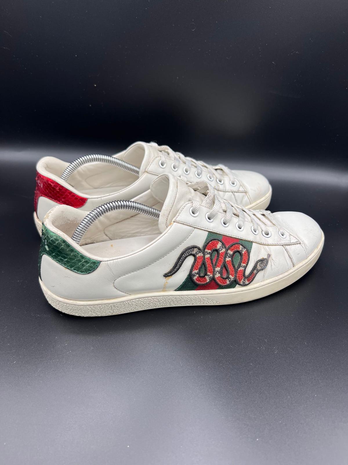 Gucci Ace Snake