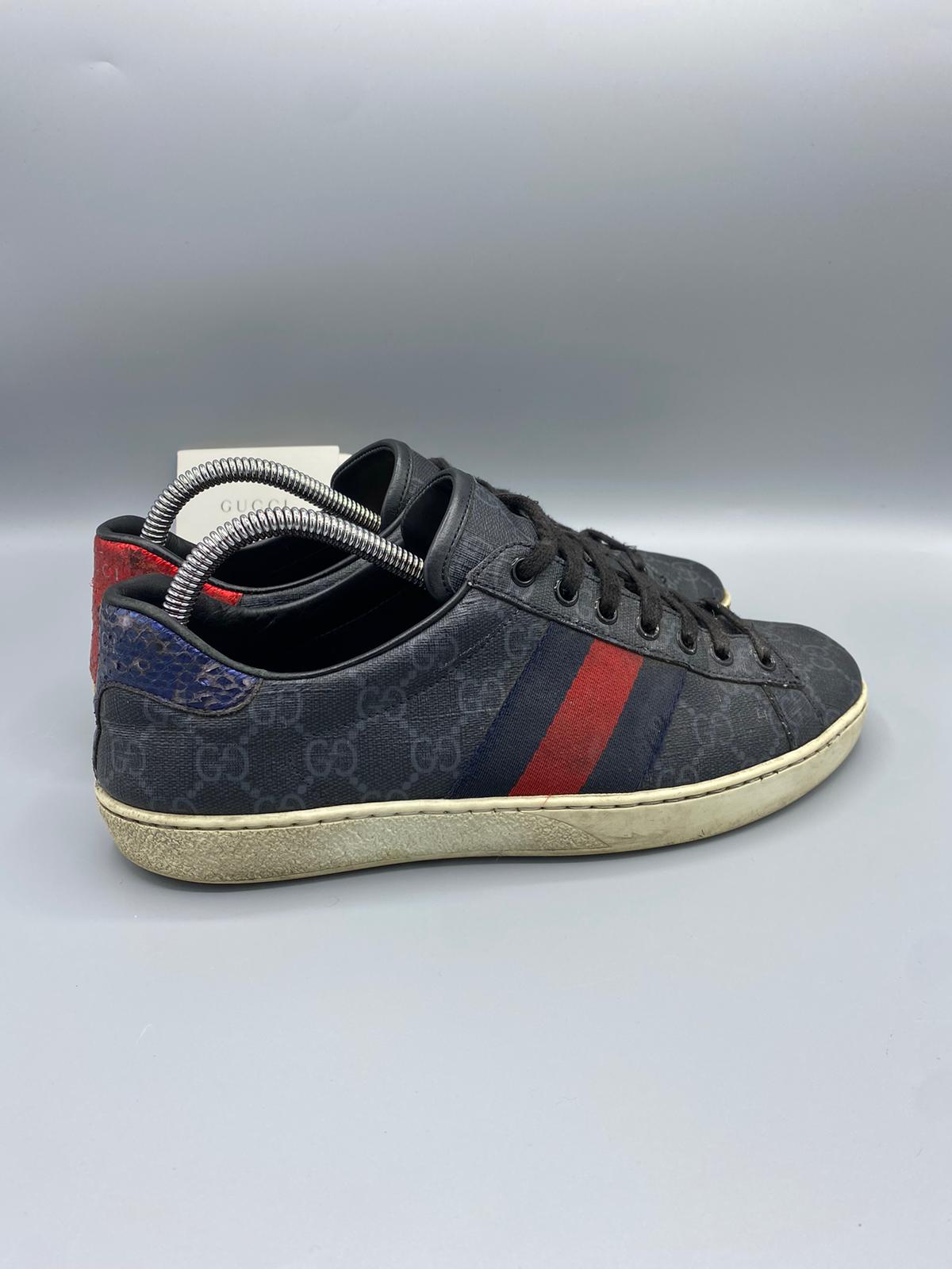 Gucci Ace