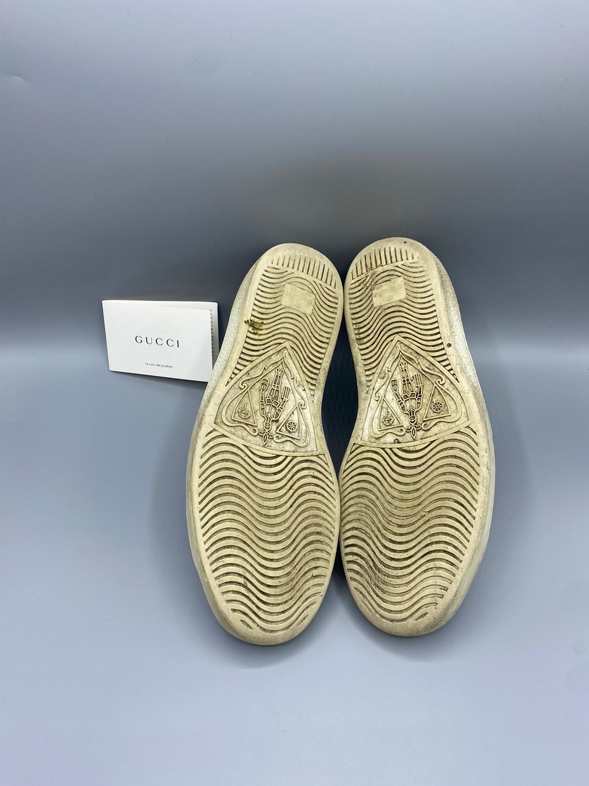 Gucci Ace