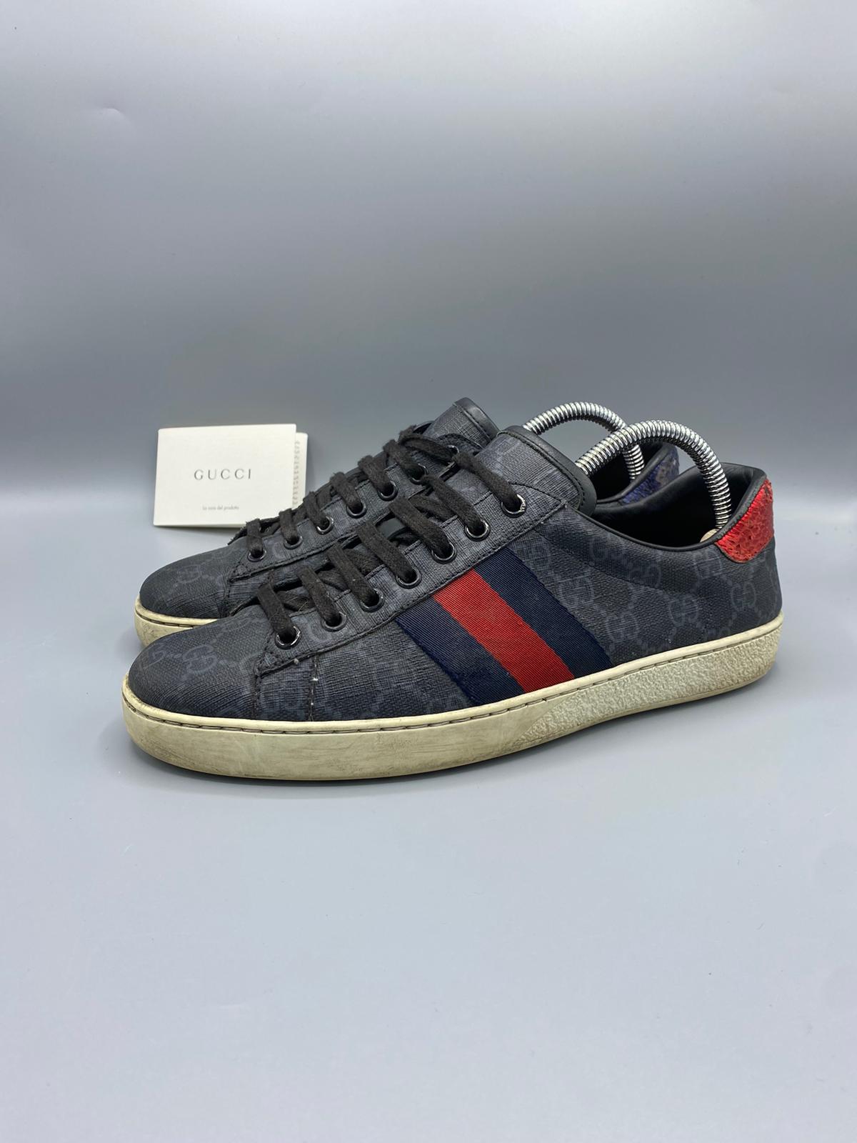 Gucci Ace