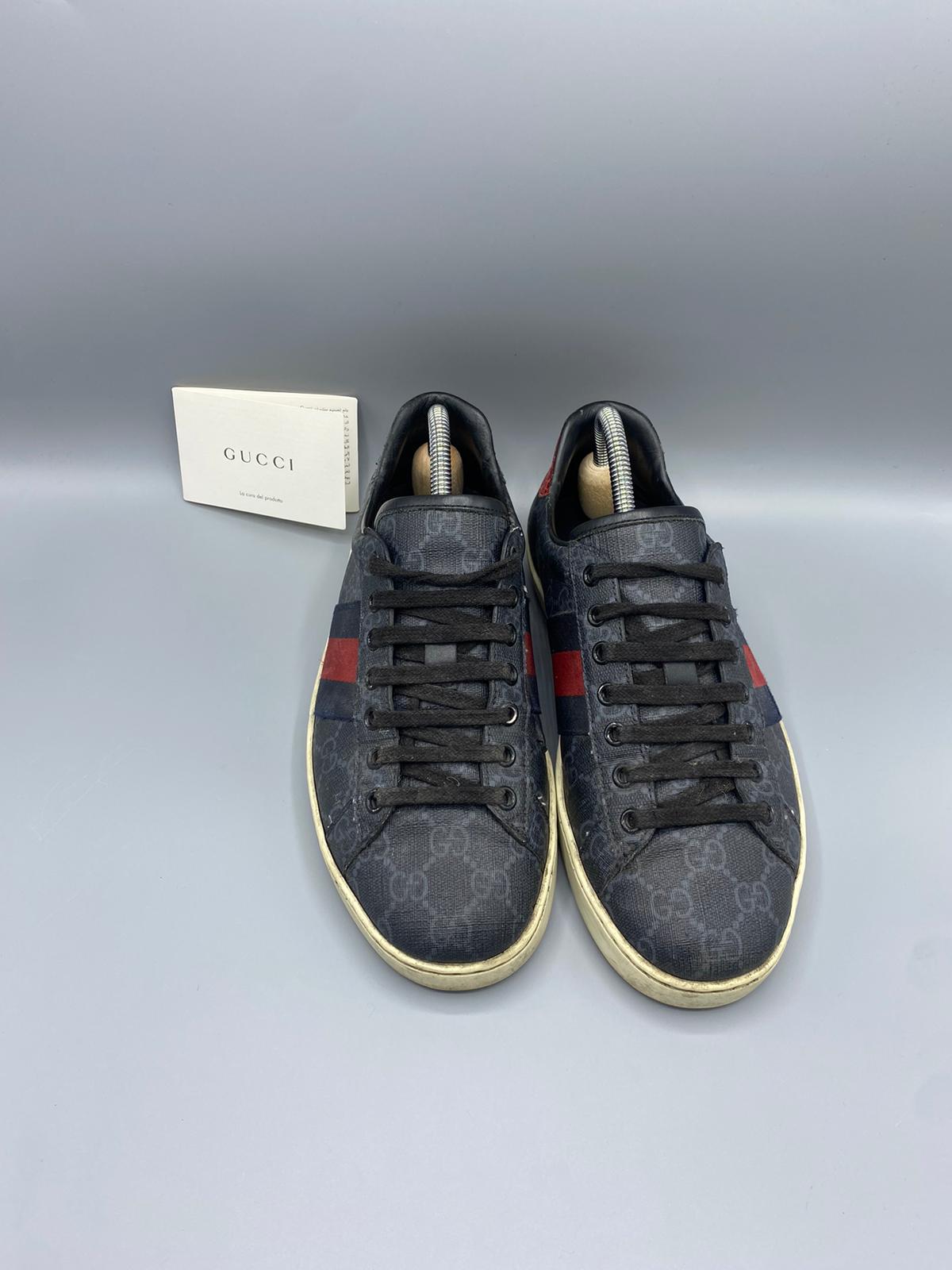 Gucci Ace