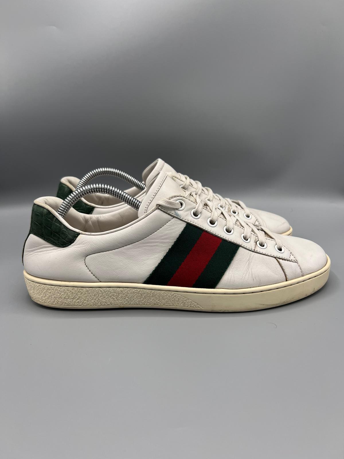 Gucci Ace