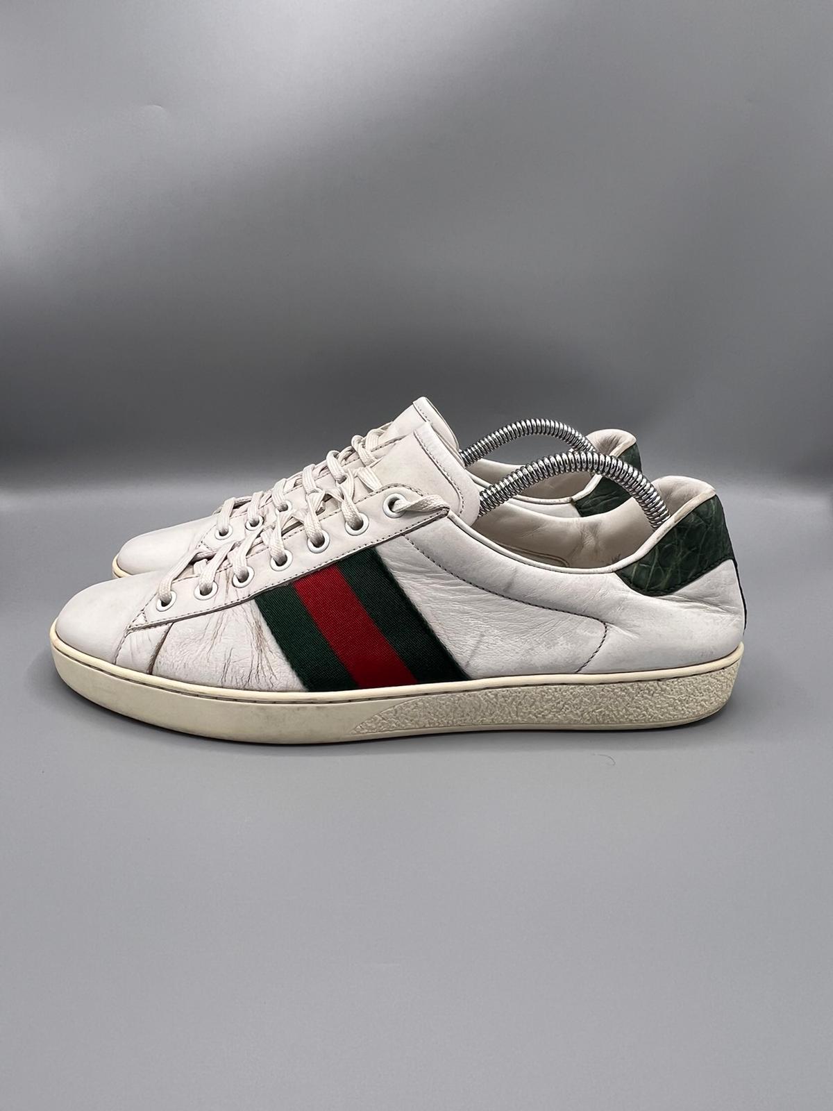 Gucci Ace