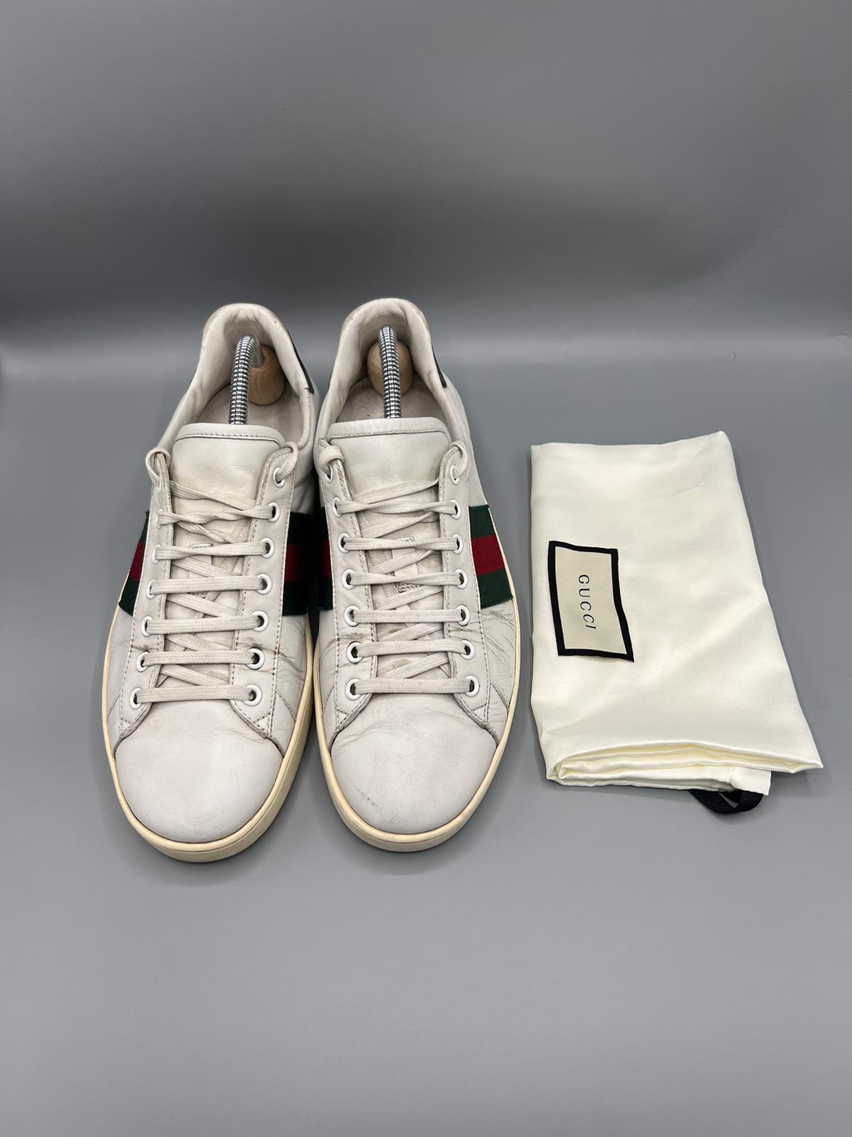 Gucci Ace