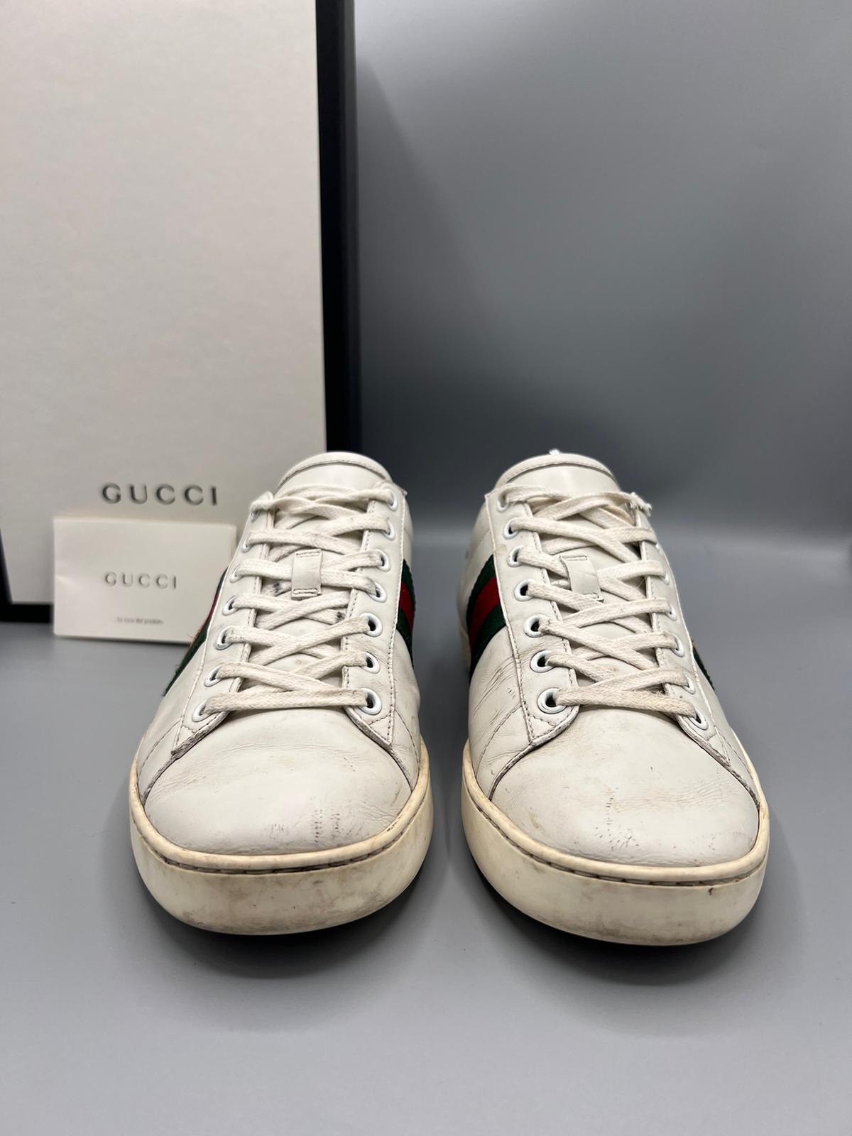 Gucci Ace Bee
