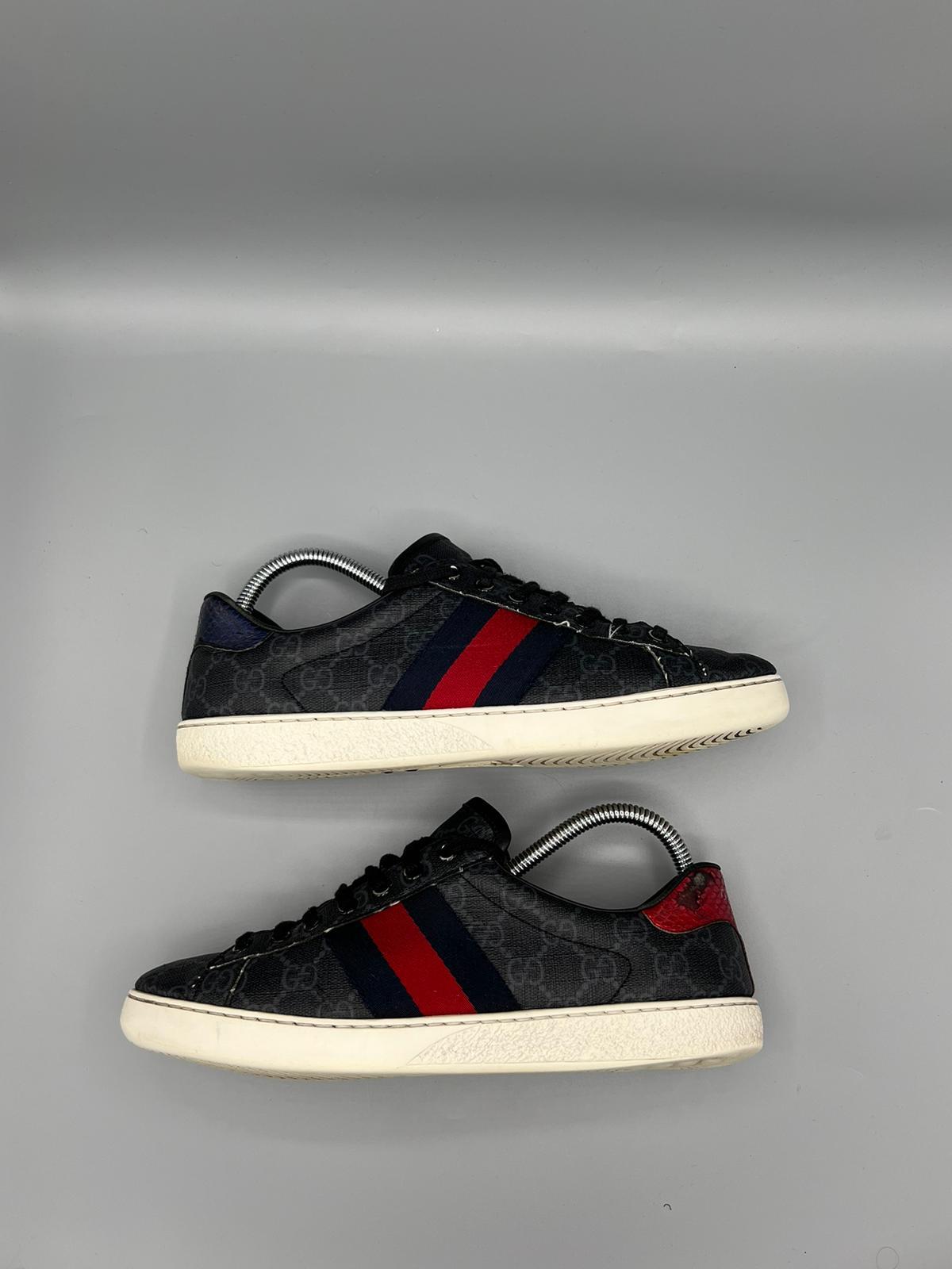 Gucci Ace