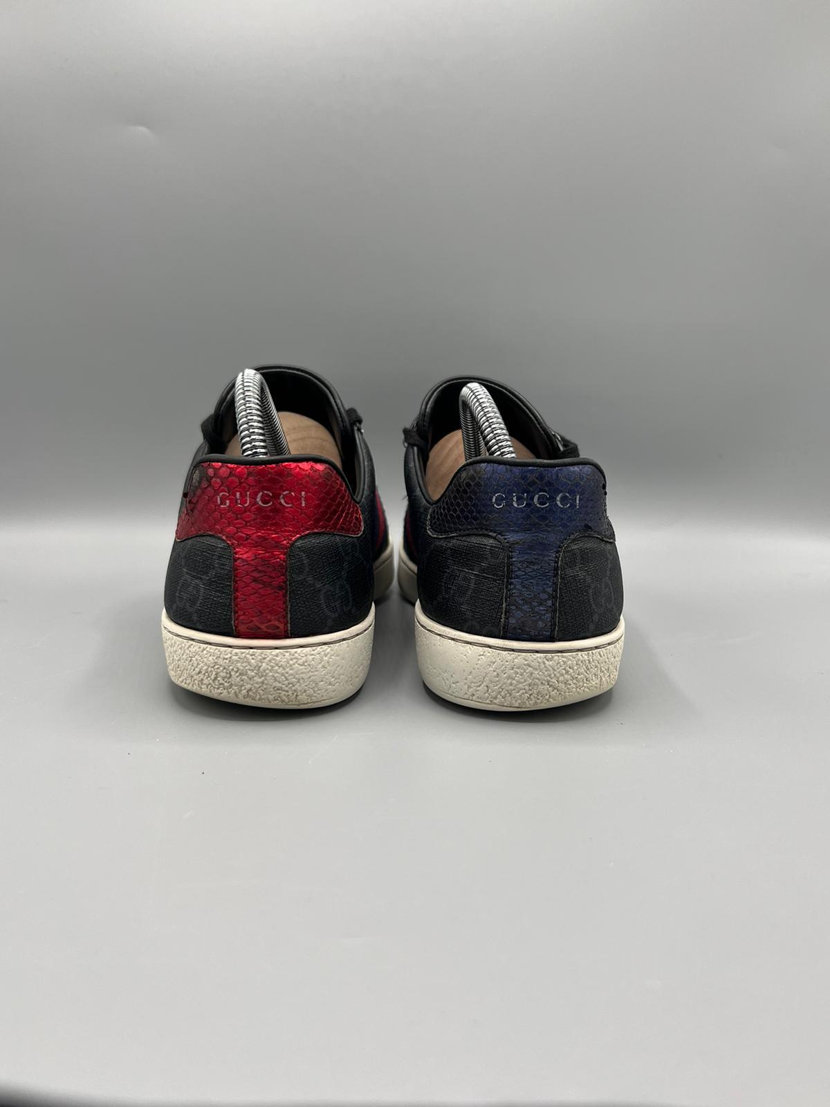 Gucci Ace