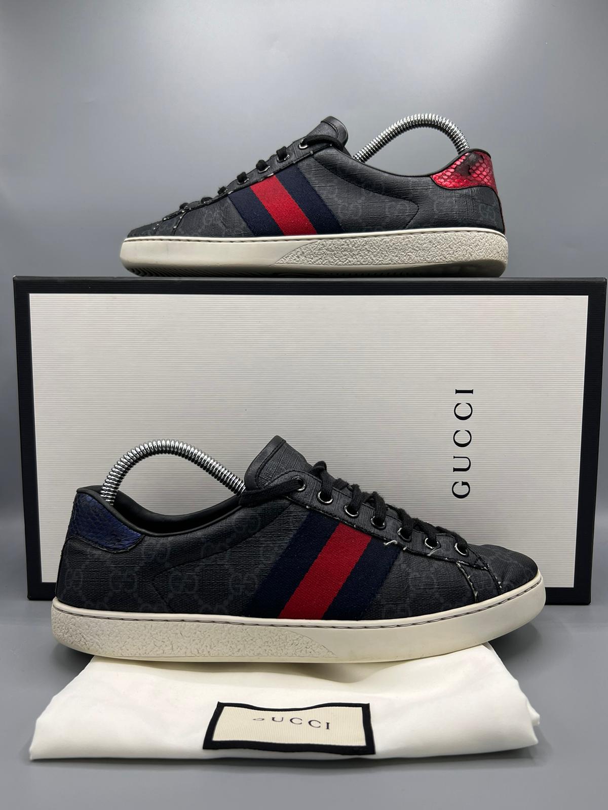 Gucci Ace