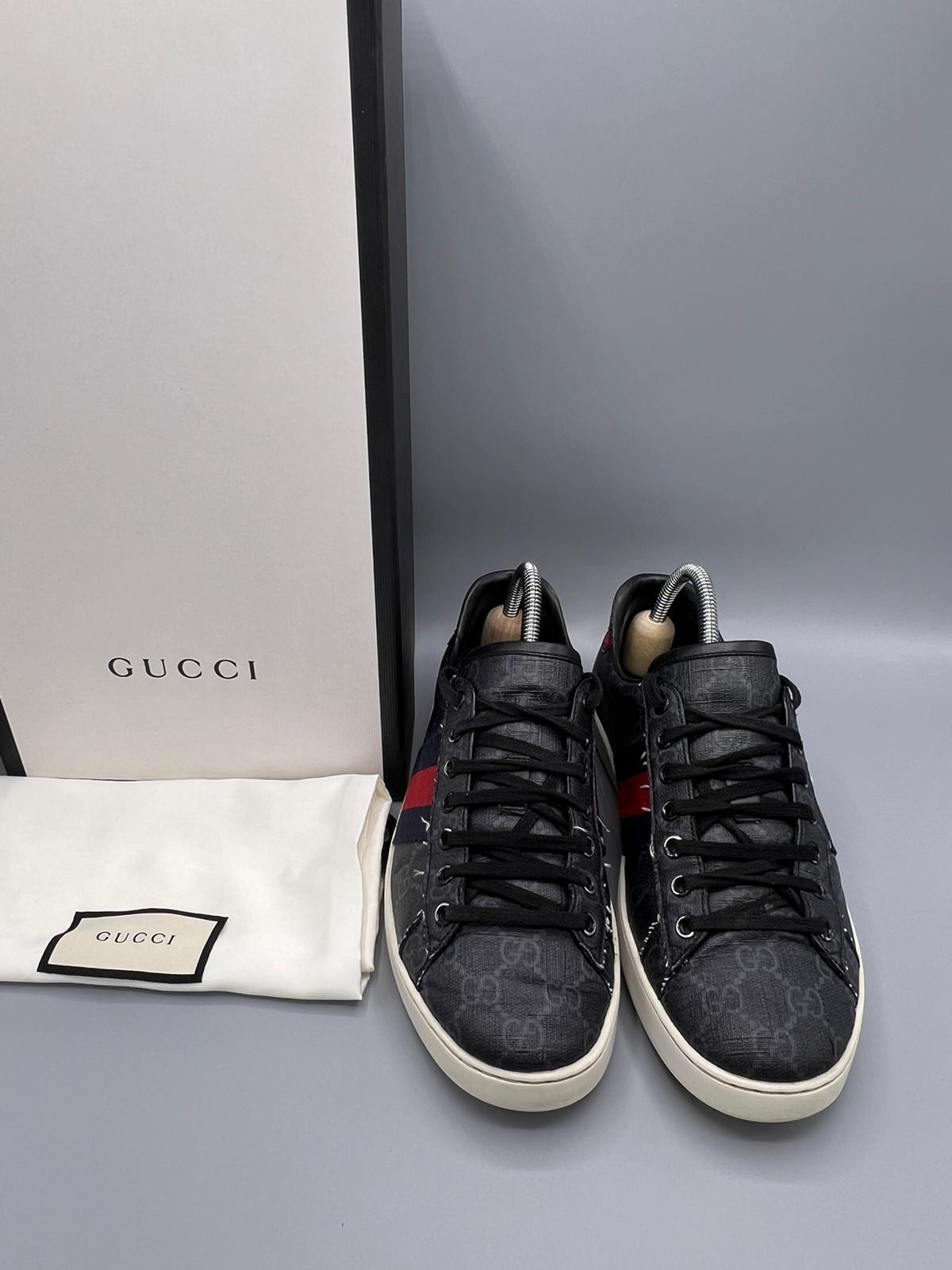 Gucci Ace