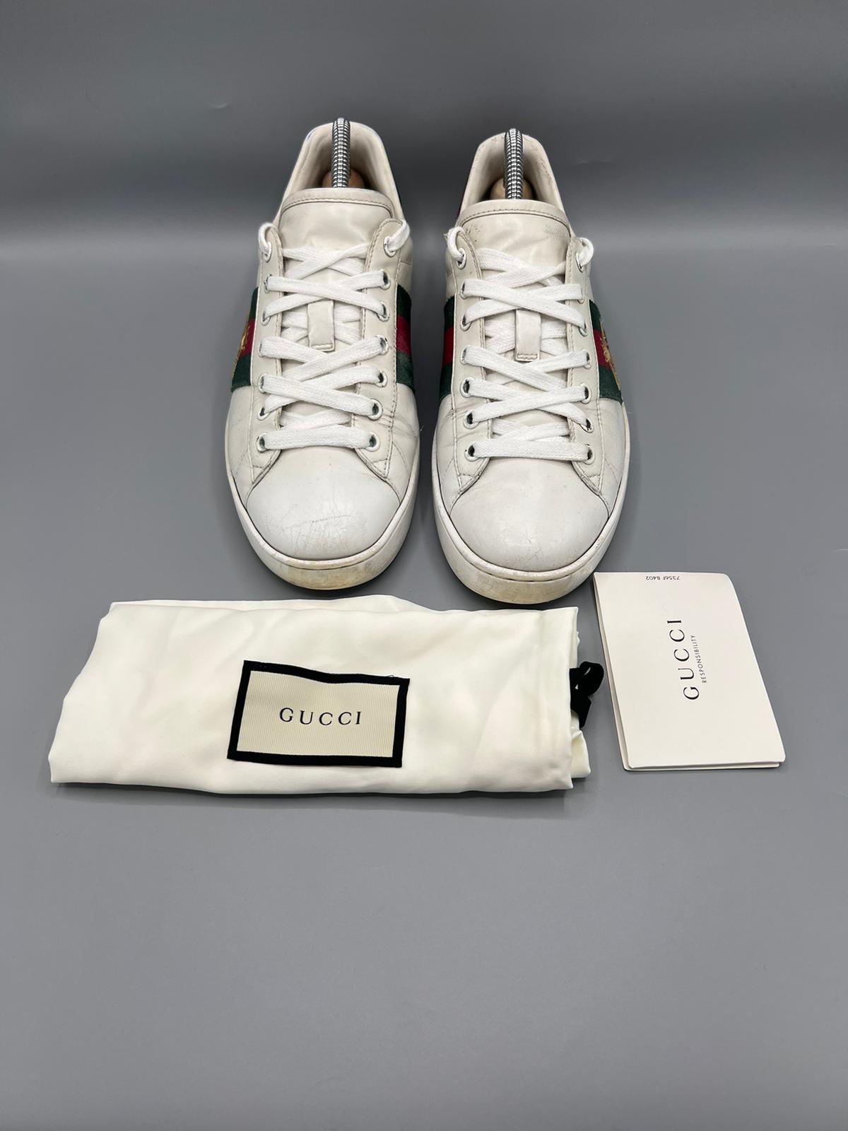 Gucci Ace
