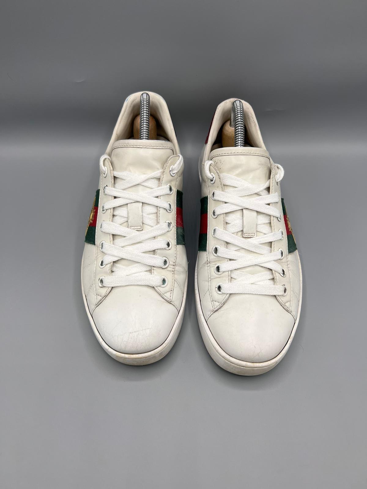 Gucci Ace