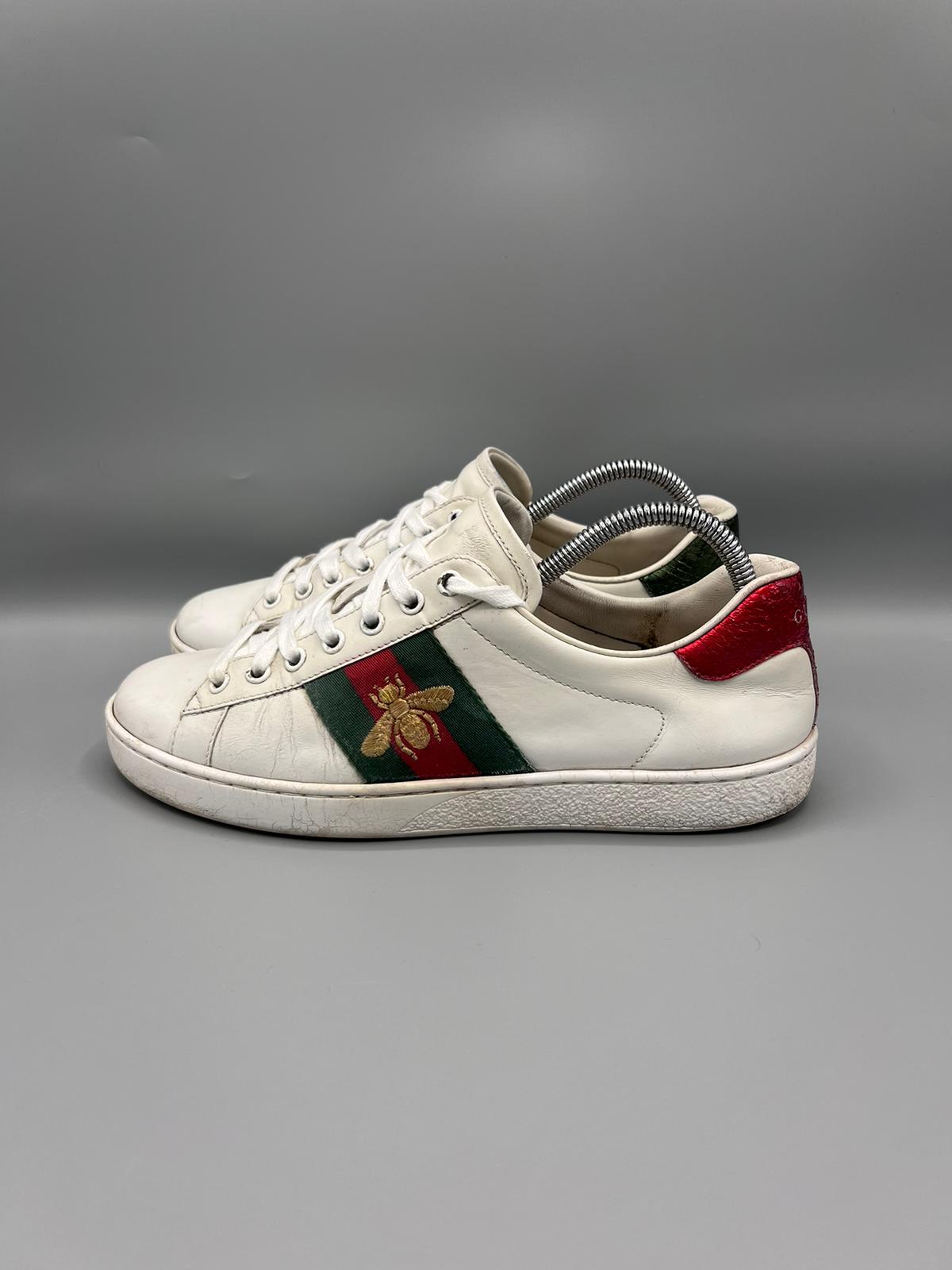 Gucci Ace