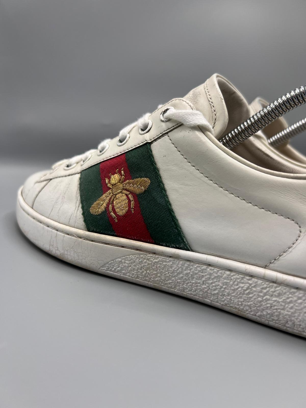 Gucci Ace