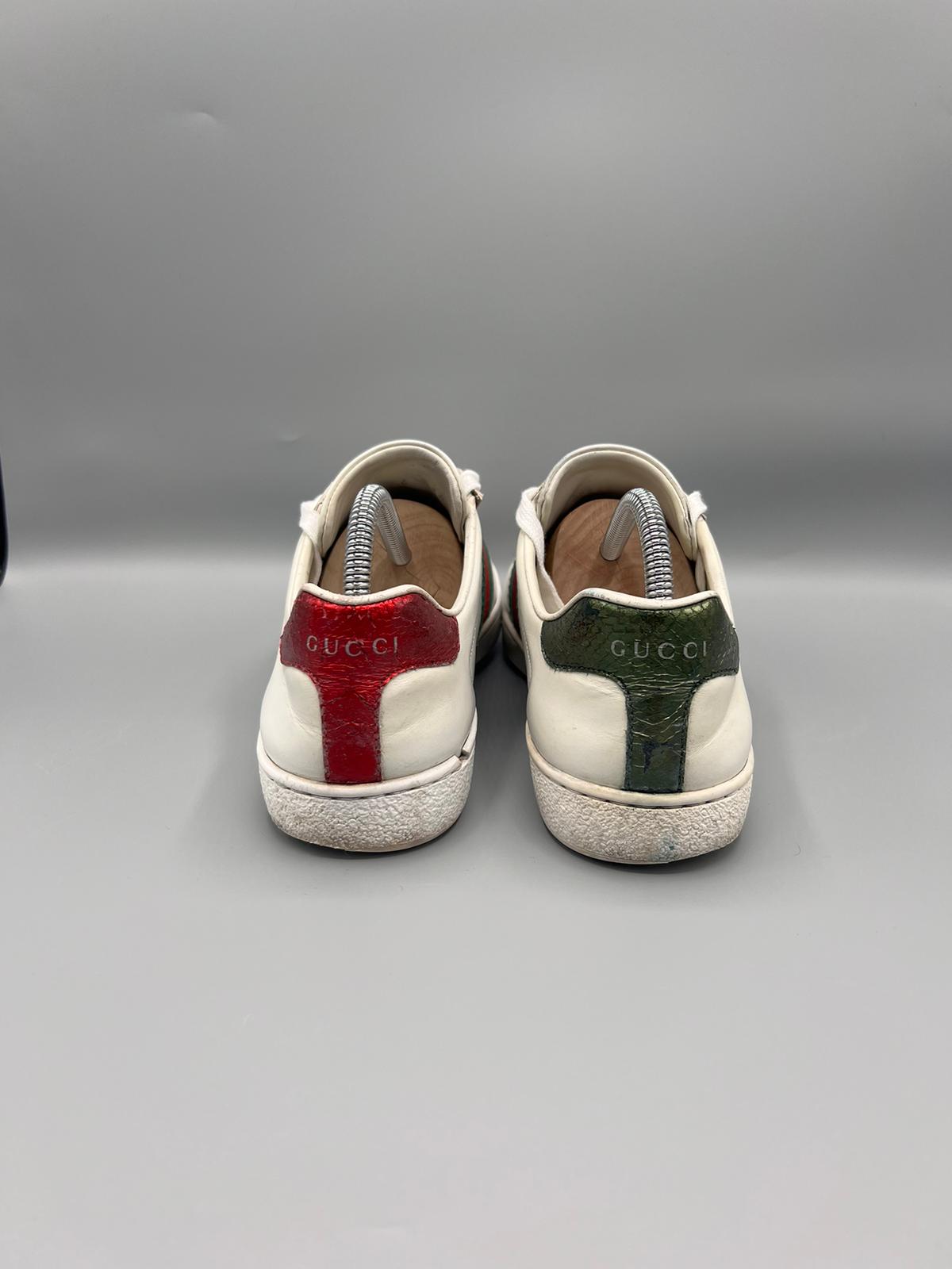 Gucci Ace