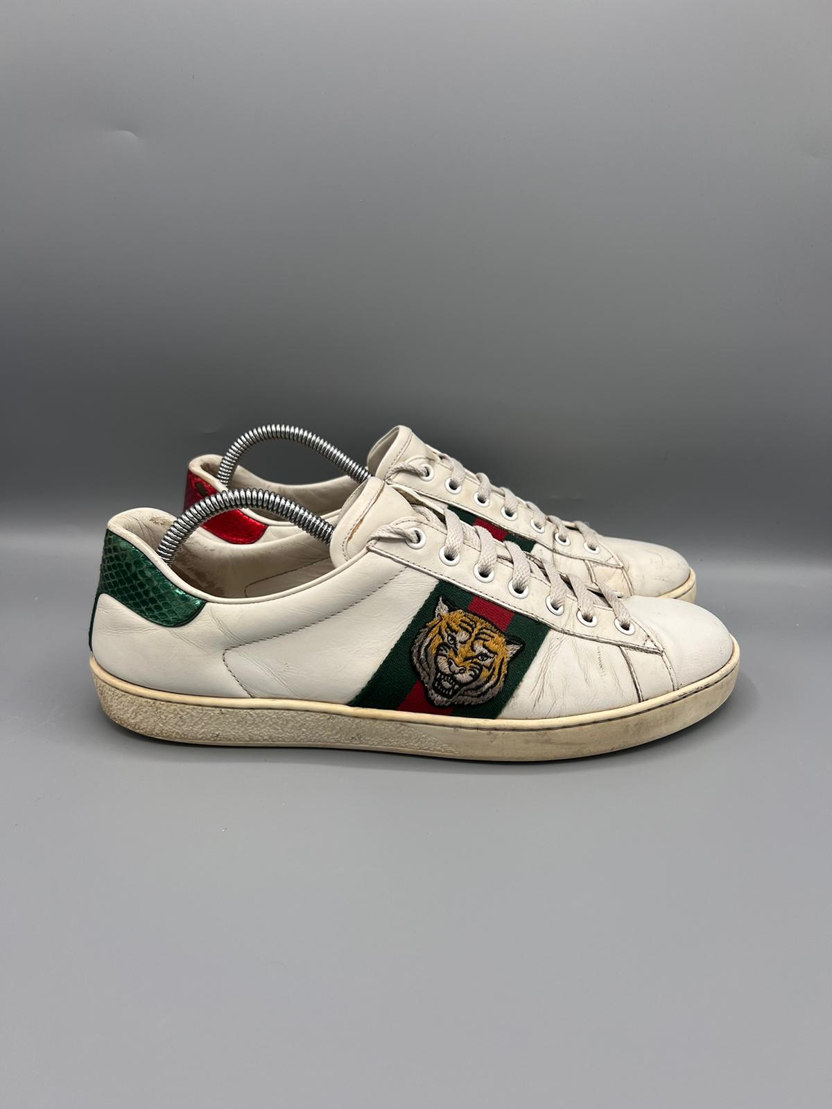 Gucci Ace Tiger
