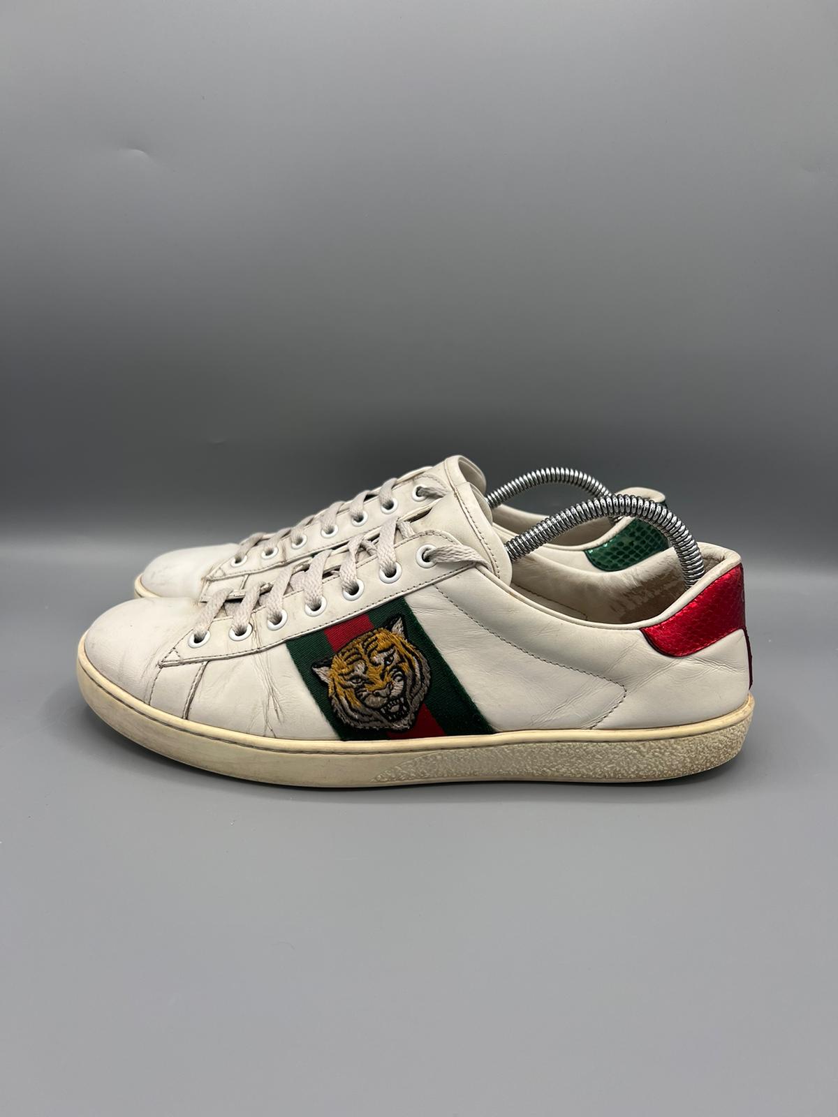 Gucci Ace Tiger